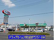 【ドラッグストア】ドラッグセイムス羽生店まで2510ｍ