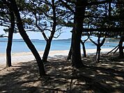 菊ヶ浜海岸まで1000ｍ