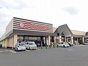 【スーパー】とりせん岩井店まで550ｍ