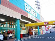 【スーパー】スーパーサンシいくわ店まで1320ｍ