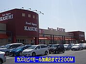 【スーパー】カスミビバモール加須店まで2200ｍ