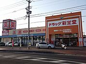 【ドラッグストア】ドラッグ新生堂まで900ｍ