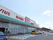 【スーパー】オークワ亀山店まで650ｍ