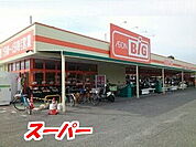 【スーパー】ザ・ビッグ 鳥栖店まで1115ｍ