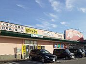 【ドラッグストア】クスリのアオキ下奥井店まで330ｍ