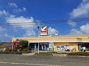 【スーパー】ヨークベニマル矢本店まで1500ｍ