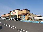 【スーパー】フレスコキクチ柴田店まで800ｍ