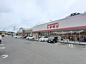 しまむら 塩釜店まで900ｍ