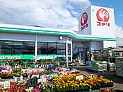 【ホームセンター】コメリハード＆グリーン志波姫店まで180ｍ