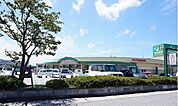 【スーパー】フタバヤ彦根店様まで1100ｍ