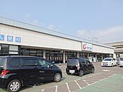 【ドラッグストア】カワチ薬品　岩切店まで1000ｍ