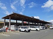 【ホームセンター】ビバホーム 石巻店まで1700ｍ