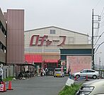 【スーパー】ロヂャース　大宮店まで550ｍ