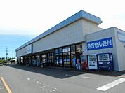 【ドラッグストア】カワチ薬品谷田部店まで3700ｍ