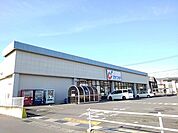 【ドラッグストア】カワチ　岩瀬店まで450ｍ