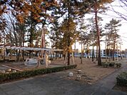 【公園】花畑近隣公園まで290ｍ