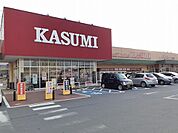 【スーパー】カスミ水海道栄町店まで730ｍ