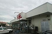 【スーパー】スーパーチェーンふじ新富店まで1000ｍ