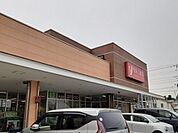 【スーパー】ヤオコー　藤沢柄沢店まで1030ｍ