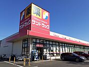 【ドラッグストア】サンドラッグ龍ケ岡店まで450ｍ