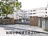 周辺：【小学校】加茂小学校まで820ｍ