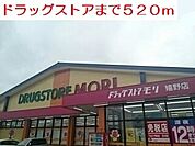 【ドラッグストア】ドラッグストアまで520ｍ