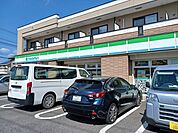 【コンビニエンスストア】ファミリーマート柏たなか店まで981ｍ