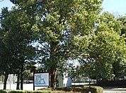 【公園】舟地蔵公園まで750ｍ