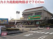 森きらら九十九島動植物園まで700ｍ
