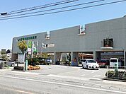 【総合病院】大西脳神経外科病院まで950ｍ
