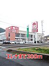【スーパー】エレナまで300ｍ