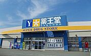 【ドラッグストア】薬王堂　サンフェスタ店まで1100ｍ