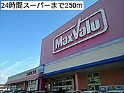【スーパー】24時間スーパーまで250ｍ