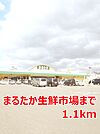 【スーパー】まるたか生鮮市場まで1100ｍ