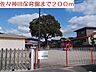 周辺：【幼稚園】佐々神田保育園まで200ｍ