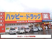 【ドラッグストア】ハッピー・ドラッグ毛馬内店まで600ｍ