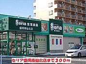 セリア盛岡南仙北店まで300ｍ