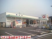 【ホームセンター】コメリ玉山店まで700ｍ