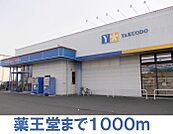 【ドラッグストア】薬王堂まで1000ｍ