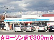 【コンビニエンスストア】ローソンまで300ｍ