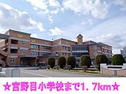 【小学校】宮野目小学校まで1700ｍ