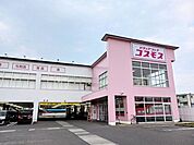 【ドラッグストア】コスモスベルロード店様まで750ｍ