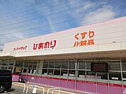 【ドラッグストア】ひまわりまで210ｍ