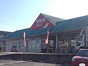 【ドラッグストア】ツルハドラッグ　大津石山店まで1100ｍ