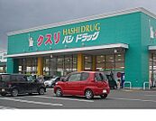 【ドラッグストア】ハシドラッグ南福島店まで1200ｍ