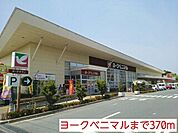 【スーパー】ヨークベニマルまで370ｍ