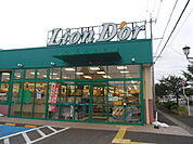 【スーパー】リオン・ドール南中央店まで1000ｍ