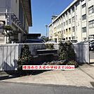 【中学校】橿原市立大成中学校まで350ｍ