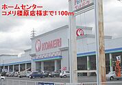 【ホームセンター】コメリ橿原店まで1100ｍ