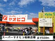 【スーパー】スーパーヤオヒコ柏原店様まで550ｍ